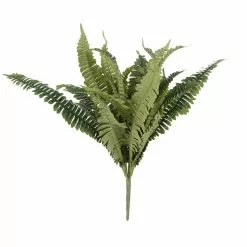 Michaels Store 39 Hot Sale π₯ 12 Pack: Boston Fern Bush by Ashland® π