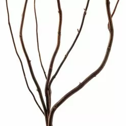New 😀 12 Pack: Natural Curly Willow by Ashland® ⭐ -Michaels Store MP312272 20