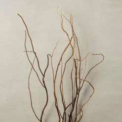 New 😀 12 Pack: Natural Curly Willow by Ashland® ⭐ -Michaels Store MP312272 25