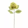 Budget ❤️ 12 Pack: Green Hydrangea Stem by Ashland® ⭐ -Michaels Store MP328156 1