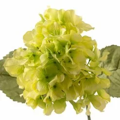 Budget ❤️ 12 Pack: Green Hydrangea Stem by Ashland® ⭐ -Michaels Store MP328156 20