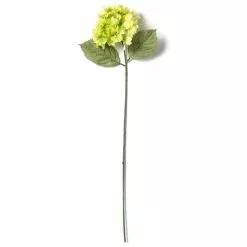 Budget ❤️ 12 Pack: Green Hydrangea Stem by Ashland® ⭐ -Michaels Store MP328156 21