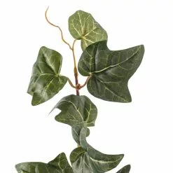 Top 10 ⭐ 12 Pack: German Ivy Bush by Ashland® ✔️ -Michaels Store MP335273 20