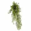 Hot Sale 🌟 12 Pack: Green Springeri Fern Bush by Ashland® 🥰 1 Hot Sale 🌟 12 Pack: Green Springeri Fern Bush by Ashland® 🥰 -Michaels Store MP339547 1