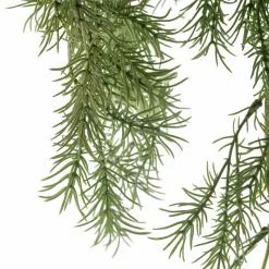 Hot Sale 🌟 12 Pack: Green Springeri Fern Bush by Ashland® 🥰 -Michaels Store MP339547 20