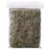 Top 10 👏 24 Pack: Spanish Moss by Ashland® 💯