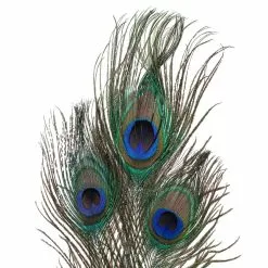 Deals ⭐ 12 Pack: Peacock Feather Picks by Ashland® 🤩 8 Deals ⭐ 12 Pack: Peacock Feather Picks by Ashland® 🤩 -Michaels Store MP355707 20
