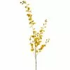 Buy 🔔 12 Pack: Yellow Dancing Orchid by Ashland® ✔️ -Michaels Store MP381029 1