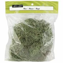 Wholesale 🛒 24 Pack: Basil Green Spanish Moss by Ashland® ⌛ -Michaels Store MP382824 1