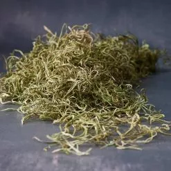 Wholesale 🛒 24 Pack: Basil Green Spanish Moss by Ashland® ⌛
