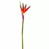 Cheap 😍 12 Pack: Tropical Bird of Paradise Stem by Ashland® 🤩 -Michaels Store MP390624