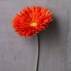 Best Pirce ✨ 12 Pack: Orange Spider Gerbera Daisy Spray by Ashland® ✔️ -Michaels Store MP392668 22