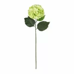 Top 10 🎉 12 Pack: Green Hydrangea Stem by Ashland® 🥰