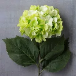 Top 10 🎉 12 Pack: Green Hydrangea Stem by Ashland® 🥰 -Michaels Store MP400667 22