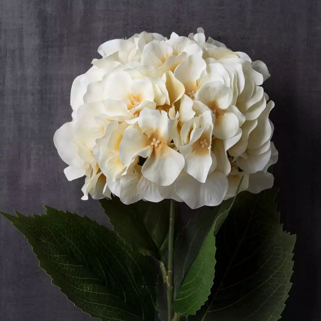 Promo ⌛ 12 Pack: Real Touch™ White Orlane Rose Spray by Ashland® 🎉 4 Promo ⌛ 12 Pack: Real Touch™ White Orlane Rose Spray by Ashland® 🎉 - Image 2