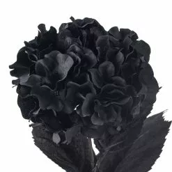 Discount ❤️ 12 Pack: Black Hydrangea Stem by Ashland® 👍 -Michaels Store MP402858 20
