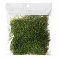 Best reviews of 😍 12 Pack: Forest Green Preserved Moss by Ashland® 😍