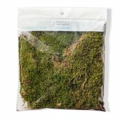 Best reviews of 😍 12 Pack: Forest Green Preserved Moss by Ashland® 😍 -Michaels Store MP407975 20