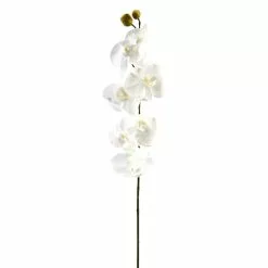 Brand new 🎁 16 Pack: White Moth Orchid Stem by Ashland® 🎁