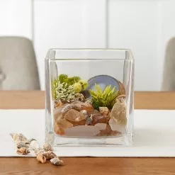 Deals 🔔 12 Pack: 6" Square Glass Vase by Ashland® 🎁 -Michaels Store MP424775 20