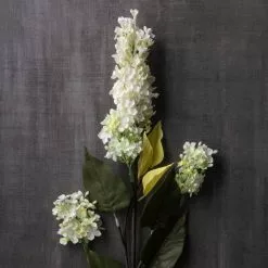 Coupon ⌛ 6 Pack: Cream Lilac Spray by Ashland® ✔️ -Michaels Store MP430218 22