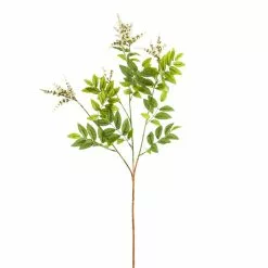 Best deal ✔️ 6 Pack: Cream Hybrid Spirea Spray by Ashland® ✨