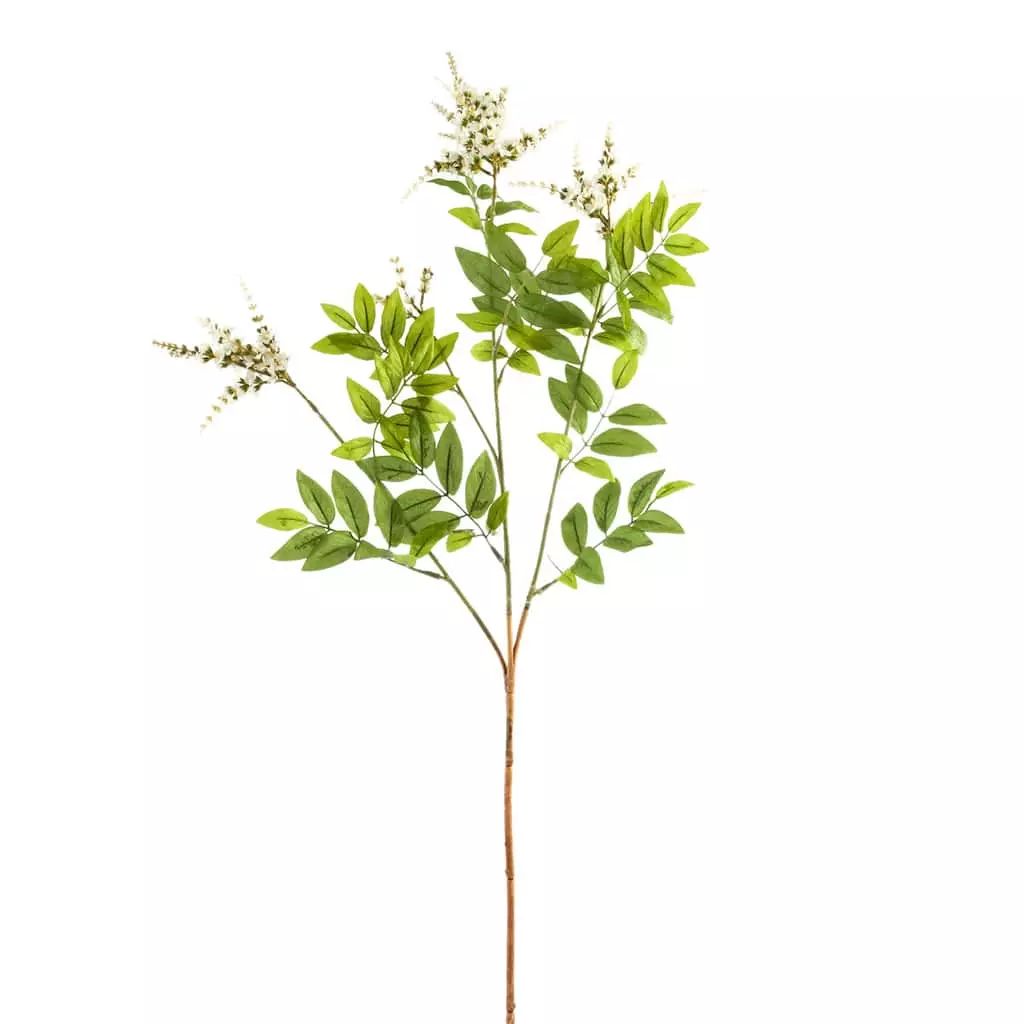 Best deal ✔️ 6 Pack: Cream Hybrid Spirea Spray by Ashland® ✨ 3 Best deal ✔️ 6 Pack: Cream Hybrid Spirea Spray by Ashland® ✨