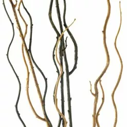 Budget 🥰 12 Pack: Green & Yellow Twig Branch by Ashland® 🔔 -Michaels Store MP430277 20