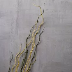 Budget 🥰 12 Pack: Green & Yellow Twig Branch by Ashland® 🔔 -Michaels Store MP430277 22