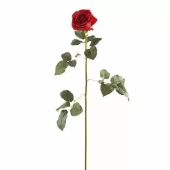 Outlet 🥰 12 Pack: Red Dutch Rose Stem by Ashland® ⭐