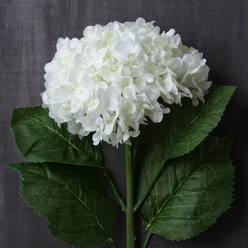 Brand new ✨ 8 Pack: Cream Hydrangea Stem by Ashland® ❤️ 5 Brand new ✨ 8 Pack: Cream Hydrangea Stem by Ashland® ❤️ - Image 3