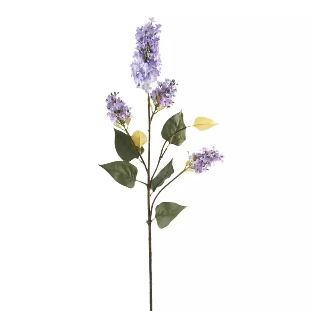 Coupon 🎁 6 Pack: Purple Lilac Spray by Ashland® 🎉 3 Coupon 🎁 6 Pack: Purple Lilac Spray by Ashland® 🎉