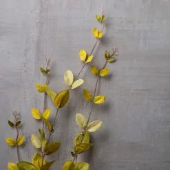 Hot Sale ❤️ 12 Pack: Honeysuckle Leaf Spray by Ashland® 🧨 -Michaels Store MP430396 22