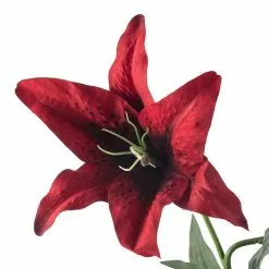 Wholesale 💯 12 Pack: Red Casablanca Lily Stem by Ashland® 🎉 -Michaels Store MP430444 20