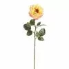Best reviews of ⌛ 12 Pack: Yellow Orlane Rose Stem by Ashland® 👍 -Michaels Store MP430476 1