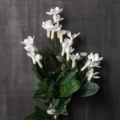 Best deal 🌟 12 Pack: White Rhinestone Stephanotis Spray by Ashland® ❤️ -Michaels Store MP450083 22