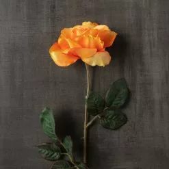 Hot Sale 🌟 12 Pack: Salmon Rose Stem by Ashland® 🔥 -Michaels Store MP450088 25