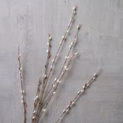 Discount 🔥 18 Pack: Pussy Willow Stem by Ashland® 🔔 -Michaels Store MP450208 22