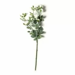 Flash Sale ⭐ 12 Pack: Cream Kate Rose Spray by Ashland® 🔥 -Michaels Store MP451129 21