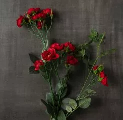 Cheapest ⭐ 12 Pack: Dark Red Kate Rose Spray by Ashland® 😀 9 Cheapest ⭐ 12 Pack: Dark Red Kate Rose Spray by Ashland® 😀 -Michaels Store MP451131 25