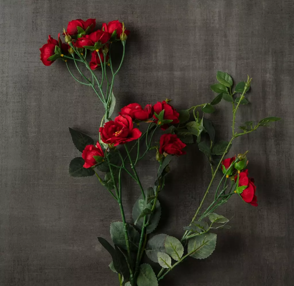 Cheapest ⭐ 12 Pack: Dark Red Kate Rose Spray by Ashland® 😀 6 Cheapest ⭐ 12 Pack: Dark Red Kate Rose Spray by Ashland® 😀 - Image 4