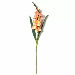 New ⌛ 12 Pack: Salmon Gladiolus Stem by Ashland® ✨ -Michaels Store MP451152 21