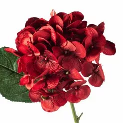 Discount 😍 12 Pack: Red Hydrangea Stem by Ashland® 🔔 9 Discount 😍 12 Pack: Red Hydrangea Stem by Ashland® 🔔 -Michaels Store MP451155 20