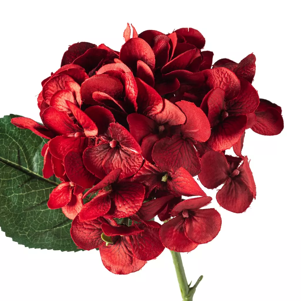 Discount 😍 12 Pack: Red Hydrangea Stem by Ashland® 🔔 6 Discount 😍 12 Pack: Red Hydrangea Stem by Ashland® 🔔 - Image 4