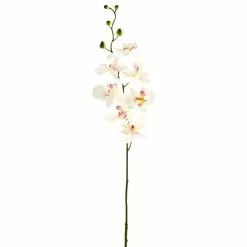 Best deal ⭐ 12 Pack: Cream & Pink Orchid Spray by Ashland® 💯