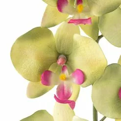 Top 10 🔔 12 Pack: Green & Pink Orchid Spray by Ashland® ⌛ 9 Top 10 🔔 12 Pack: Green & Pink Orchid Spray by Ashland® ⌛ -Michaels Store MP459035 20