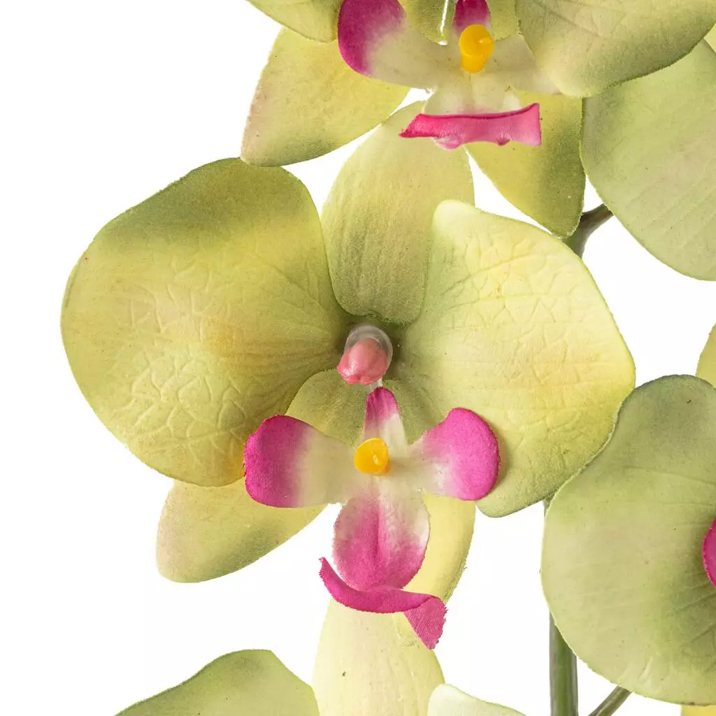 Top 10 🔔 12 Pack: Green & Pink Orchid Spray by Ashland® ⌛ 6 Top 10 🔔 12 Pack: Green & Pink Orchid Spray by Ashland® ⌛ - Image 4