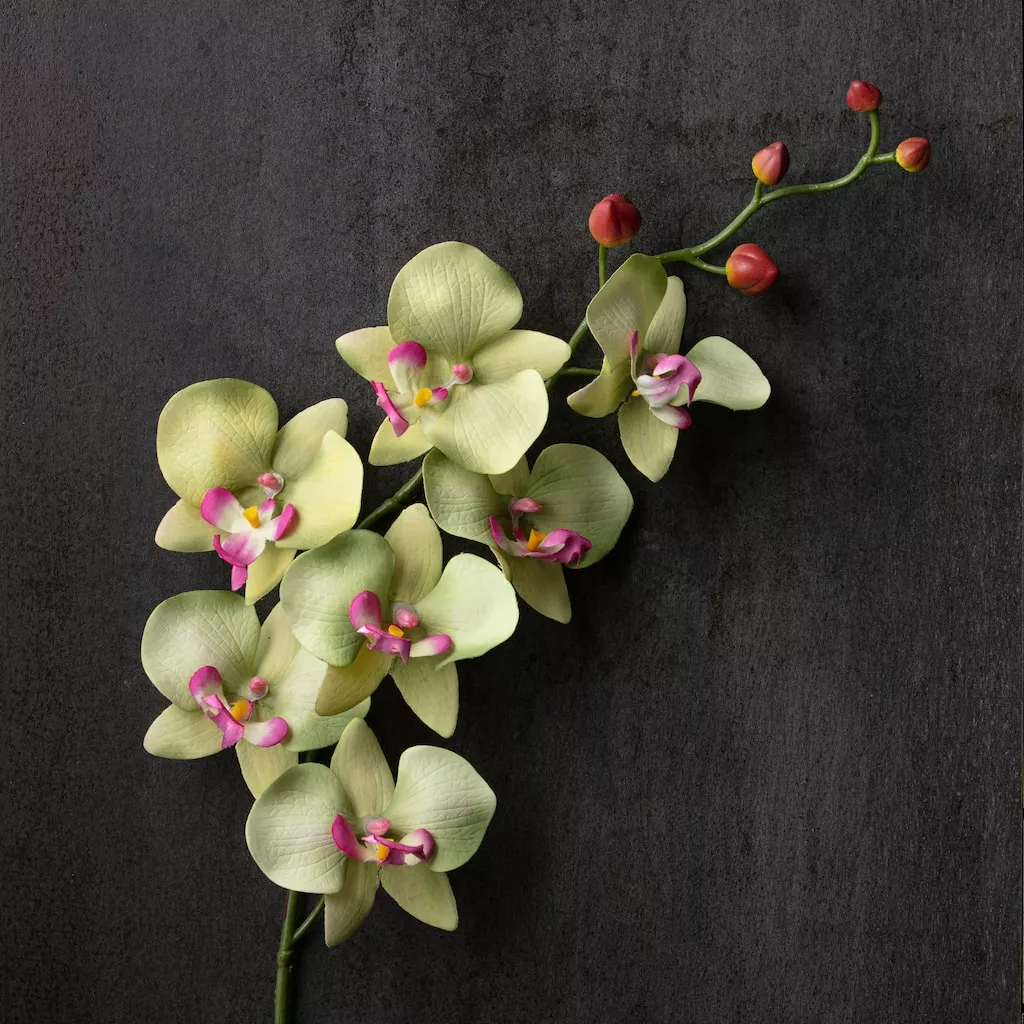 Top 10 🔔 12 Pack: Green & Pink Orchid Spray by Ashland® ⌛ 5 Top 10 🔔 12 Pack: Green & Pink Orchid Spray by Ashland® ⌛ - Image 3