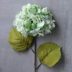 Brand new ⌛ 12 Pack: Seafoam Green Hydrangea Stem by Ashland® 👍 -Michaels Store MP461200 22
