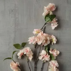 Deals ✔️ 12 Pack: Coral & White Blossom Spray by Ashland® 👍 -Michaels Store MP461601 25